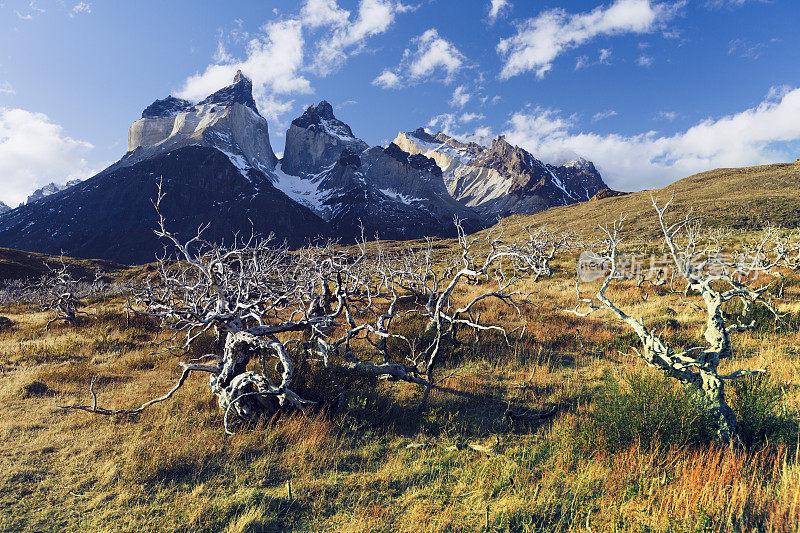 Torres del Paine - 智利巴塔哥尼亚